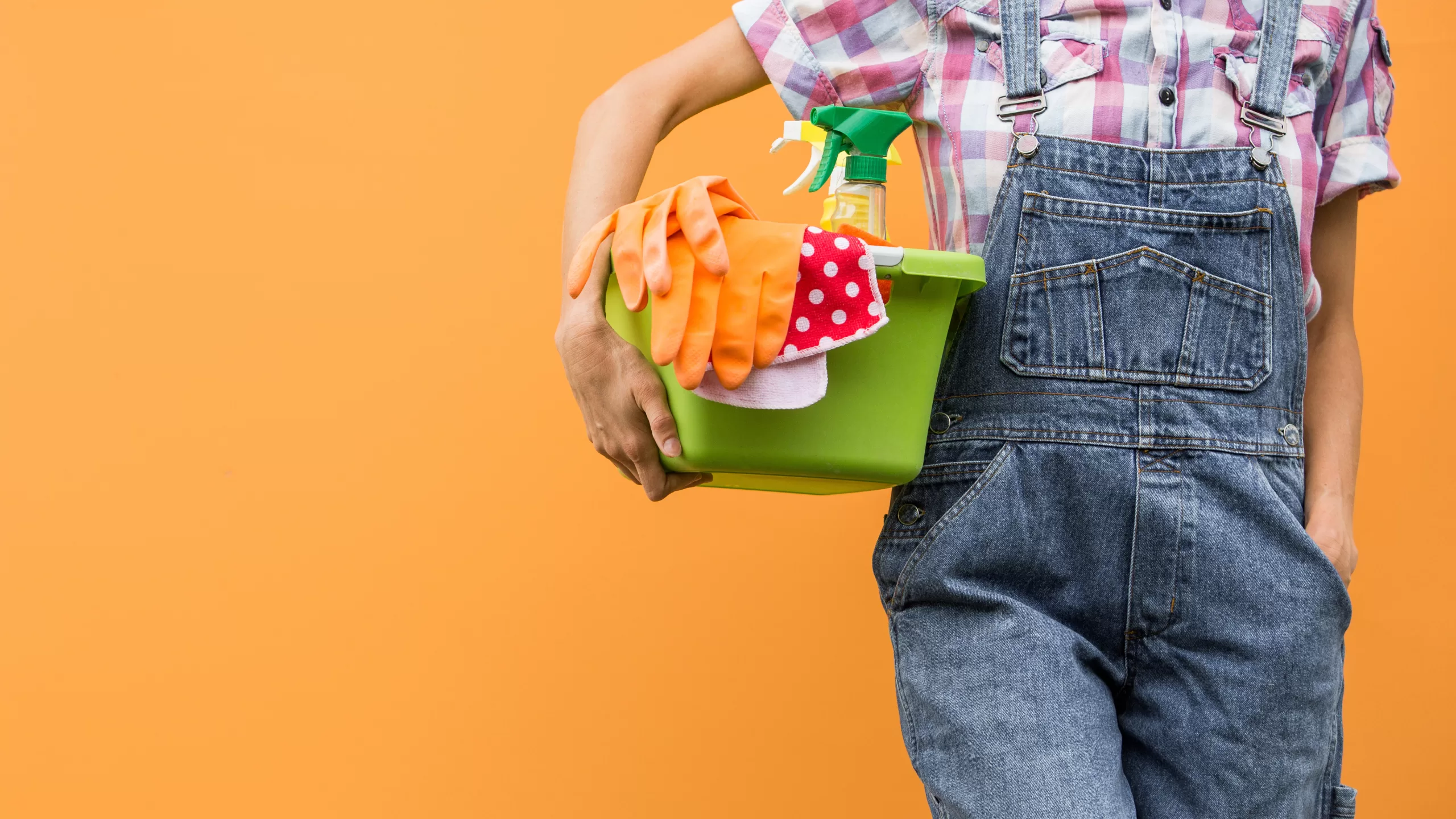 Woman Ready for Spring Cleaning